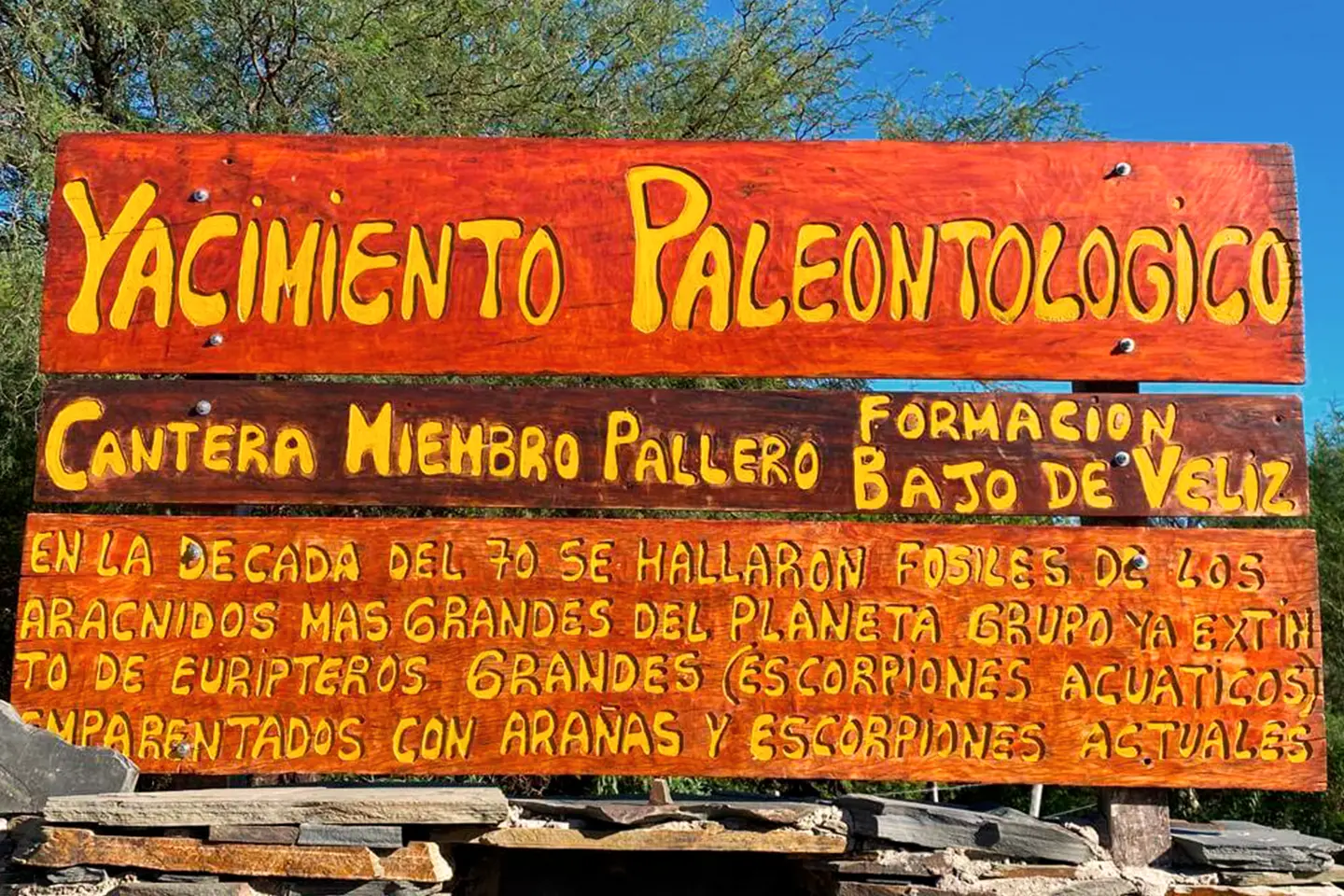 bajo-de-veliz-cartel