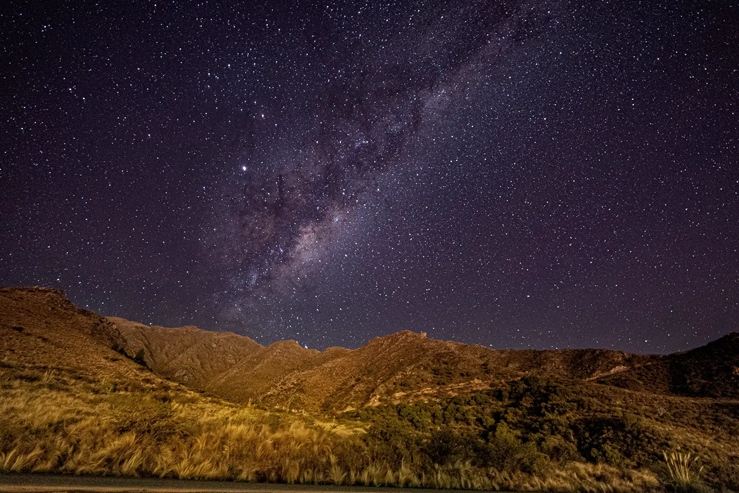 merlo-magico-noche