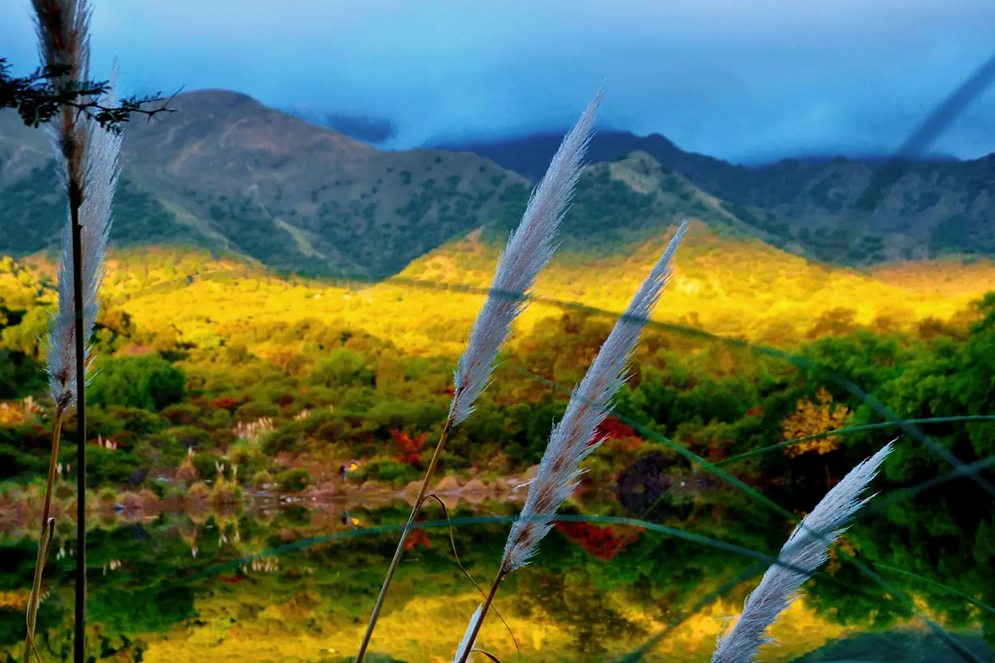 sendero-del-arriero1
