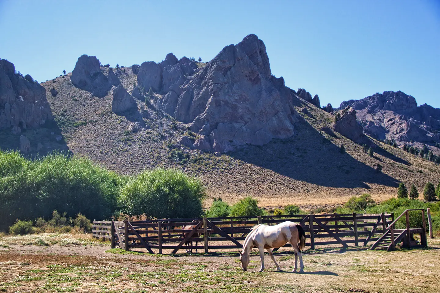 cabalgata-la-fragua3