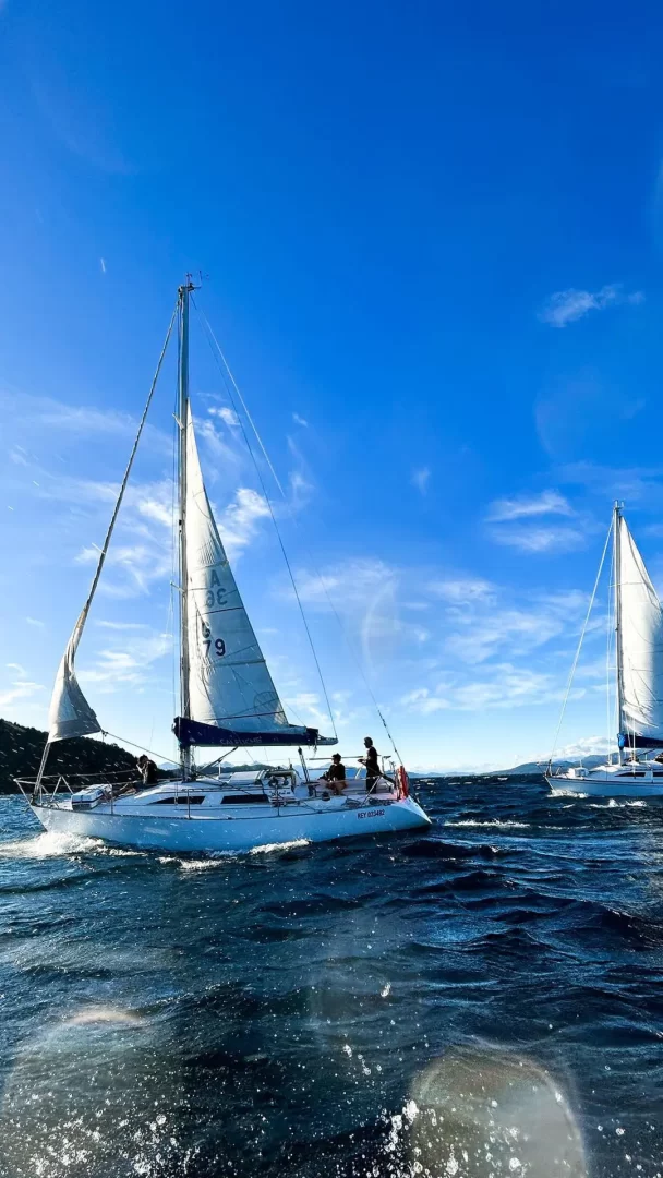 paseo-en-velero-portada