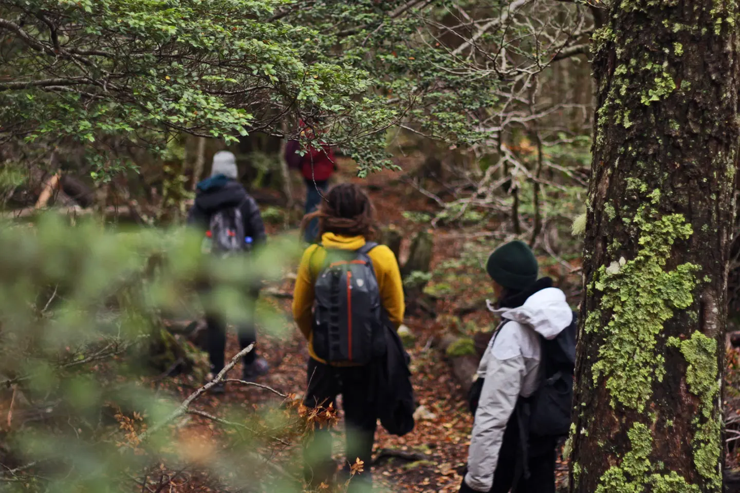 trekking-ushuaia-1