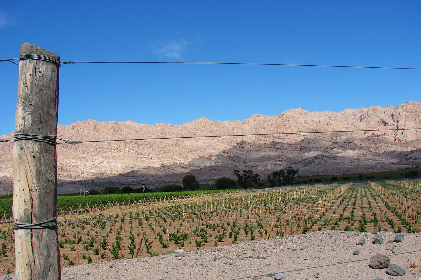 valles-calchaquies-1