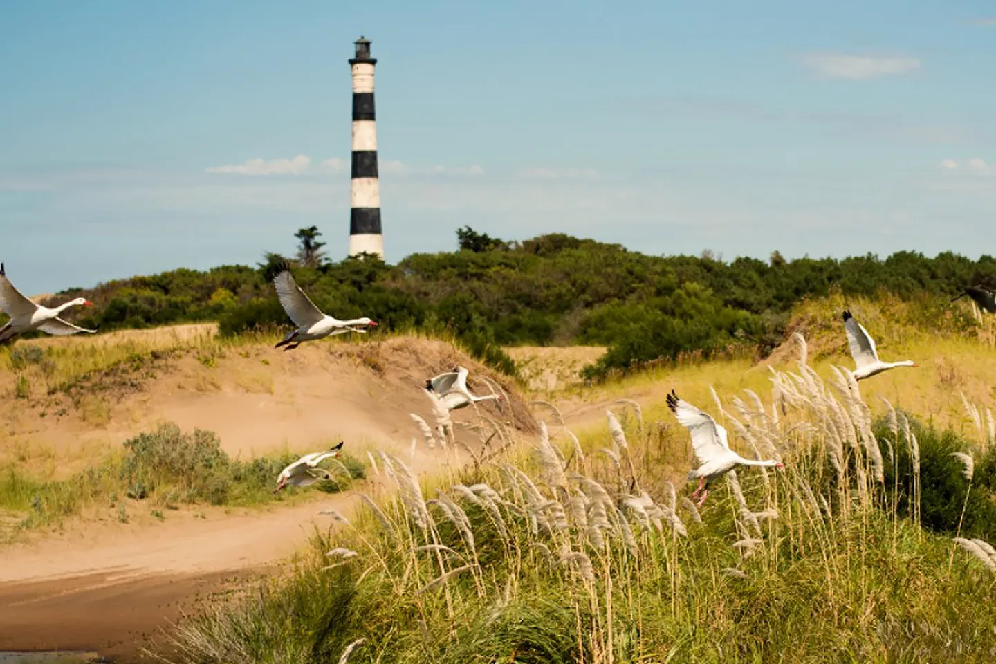 faro-querandi-gesell