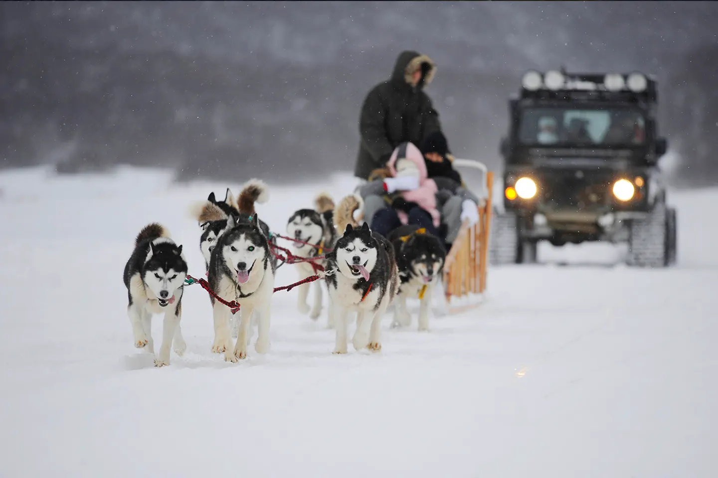 full-day-nieve-1