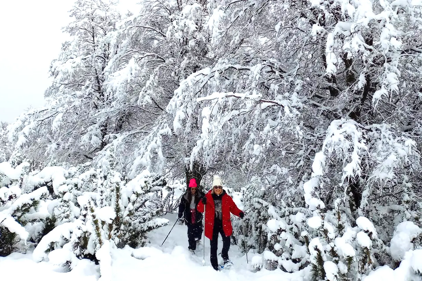 caminata-raquetas-1