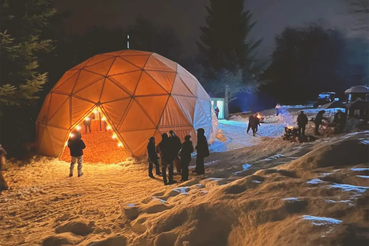 winter-night-domo