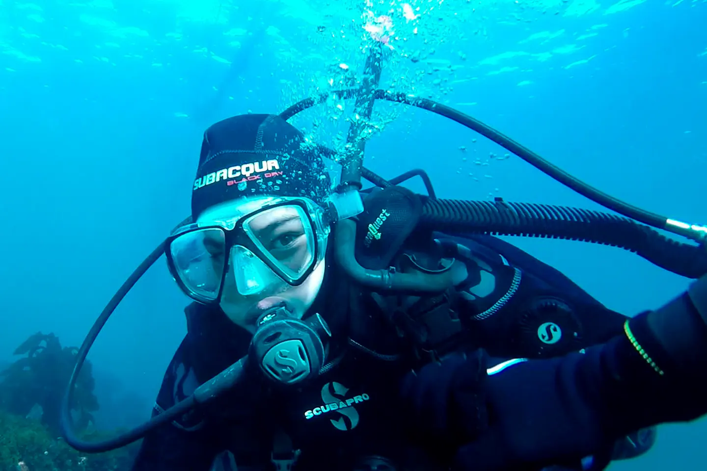 buceo-con-lobos-marinos3