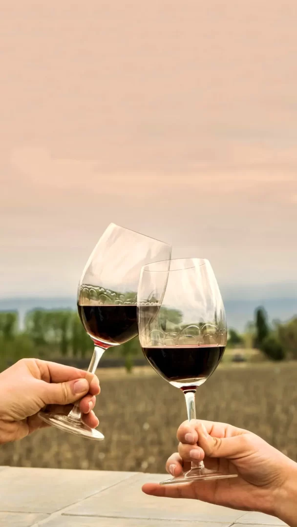 caminos-del-vino-portada1