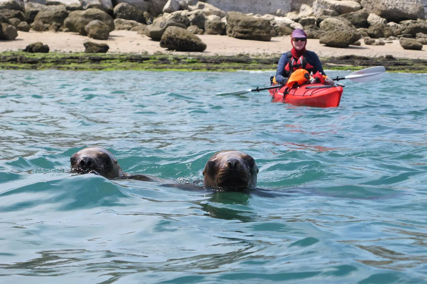 kayak-puerto-piramides-1