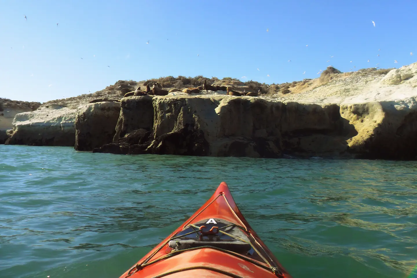 kayak-puerto-piramides-4