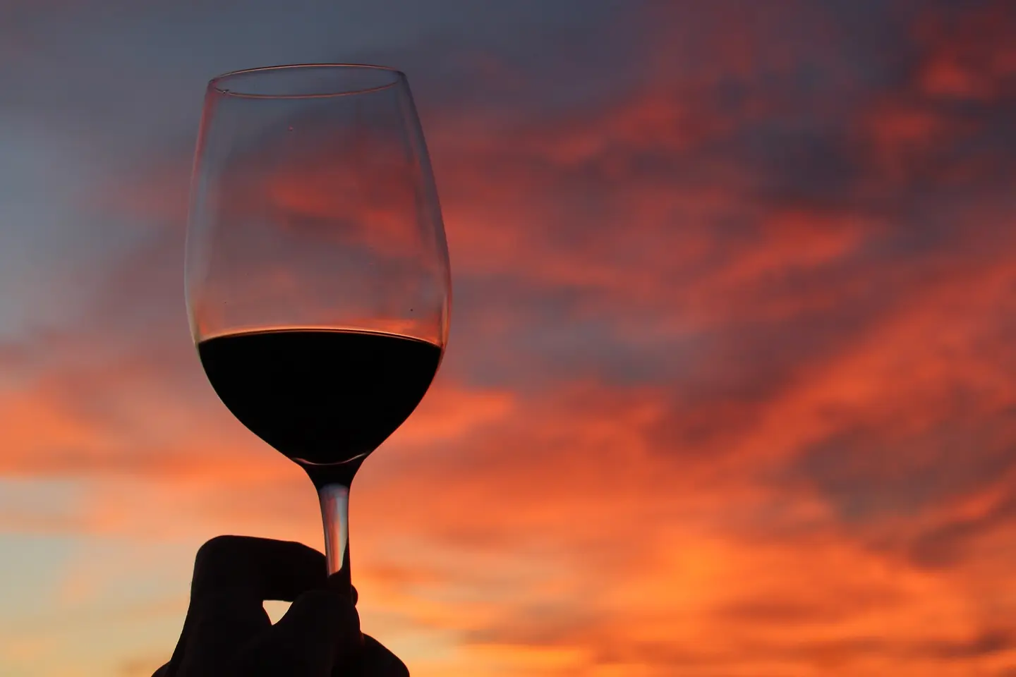 tapeo-atardecer-2