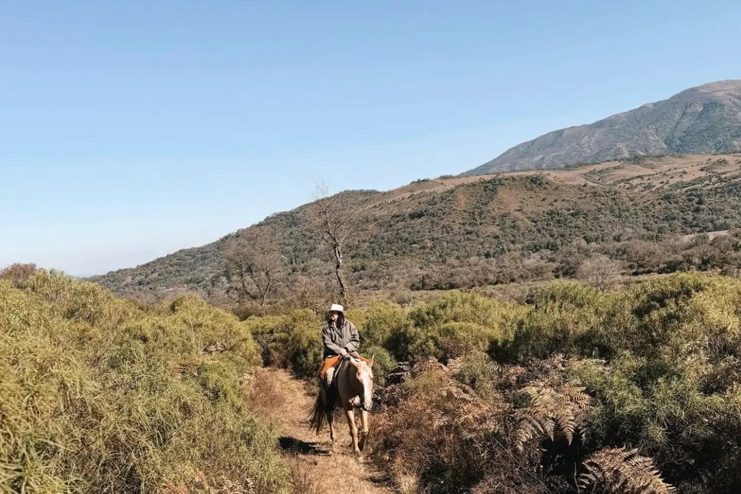 cabalgata-san-lorenzo-2