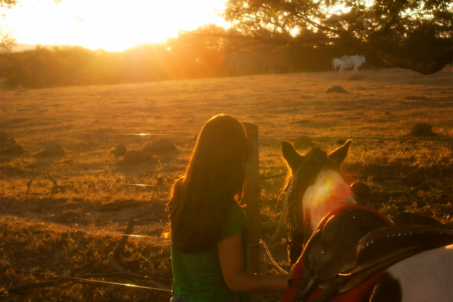 cabalgata-san-lorenzo-atardecer