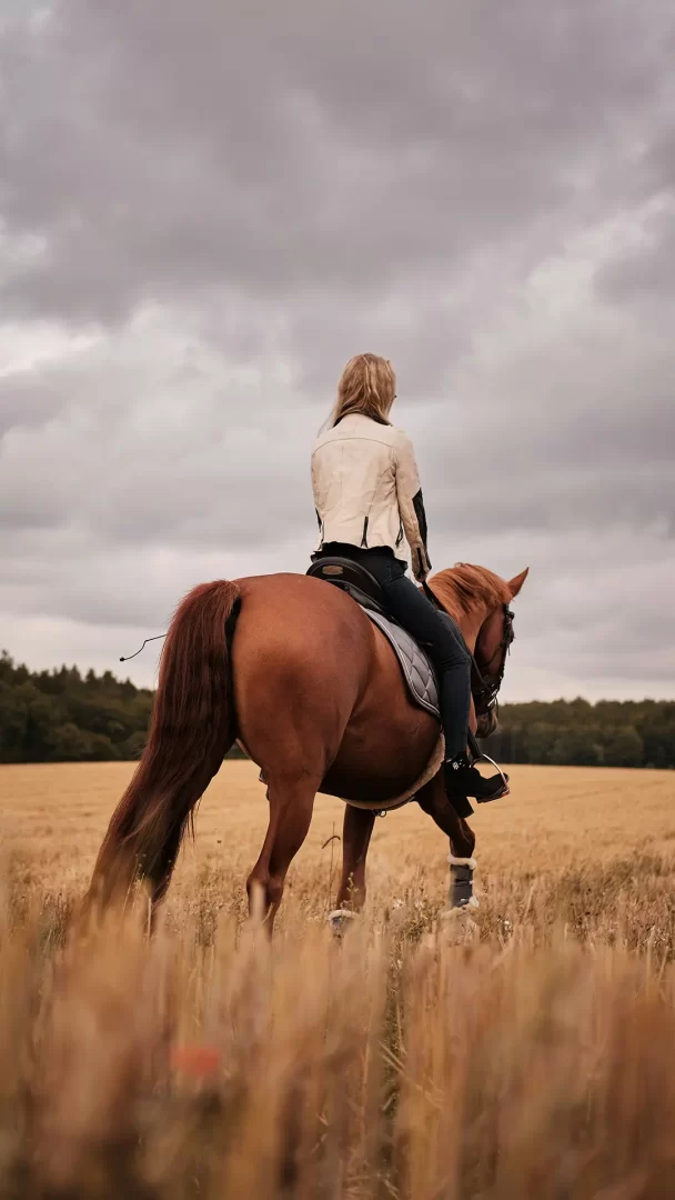 cabalgata-san-lorenzo-portada1