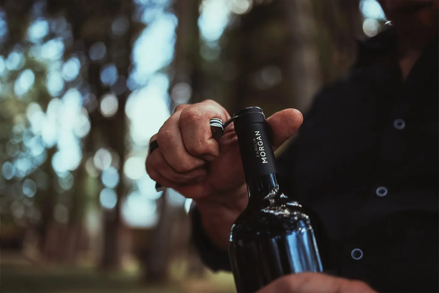 experiencia-morgan-vino