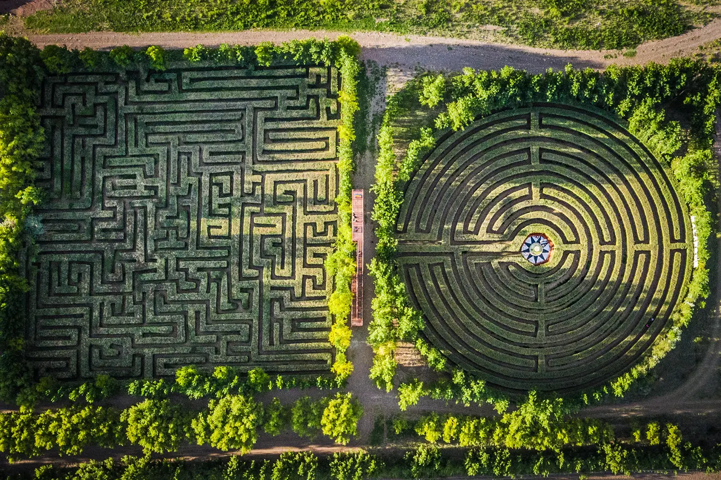 laberintos-carmona-2