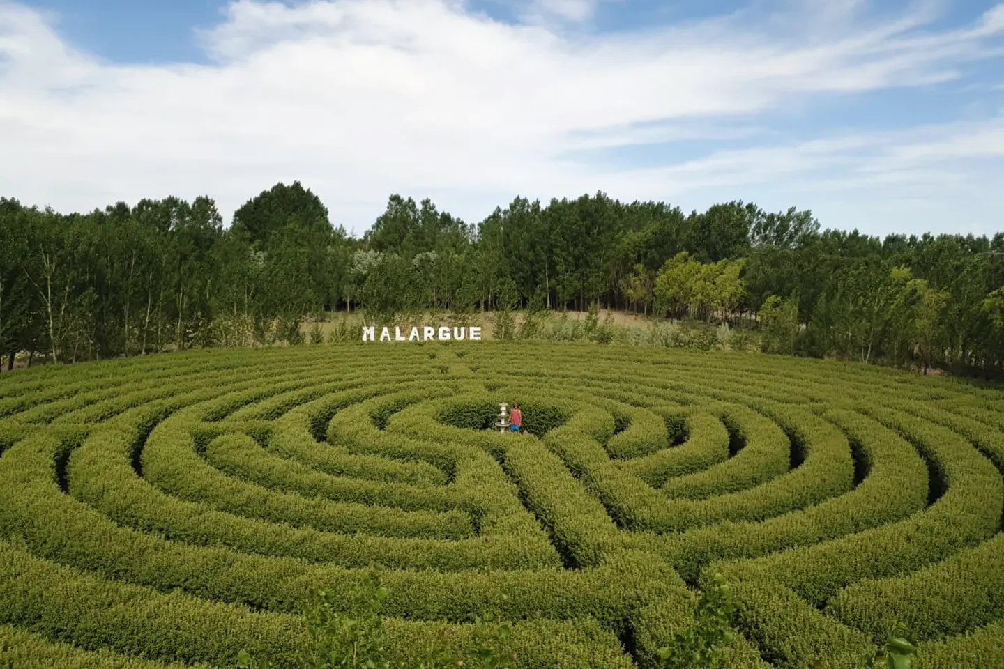 laberintos-carmona-3