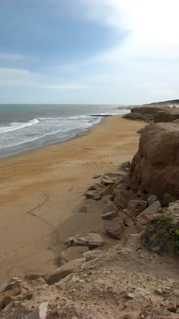 miramar-bosque-asado-portada