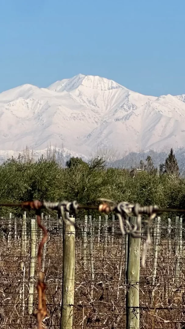 sabores-de-mendoza-portada