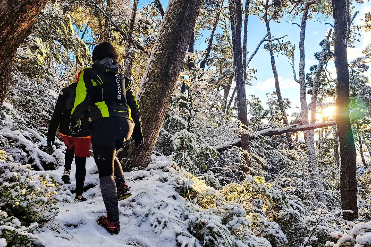 trekking-monte-susana-bosque