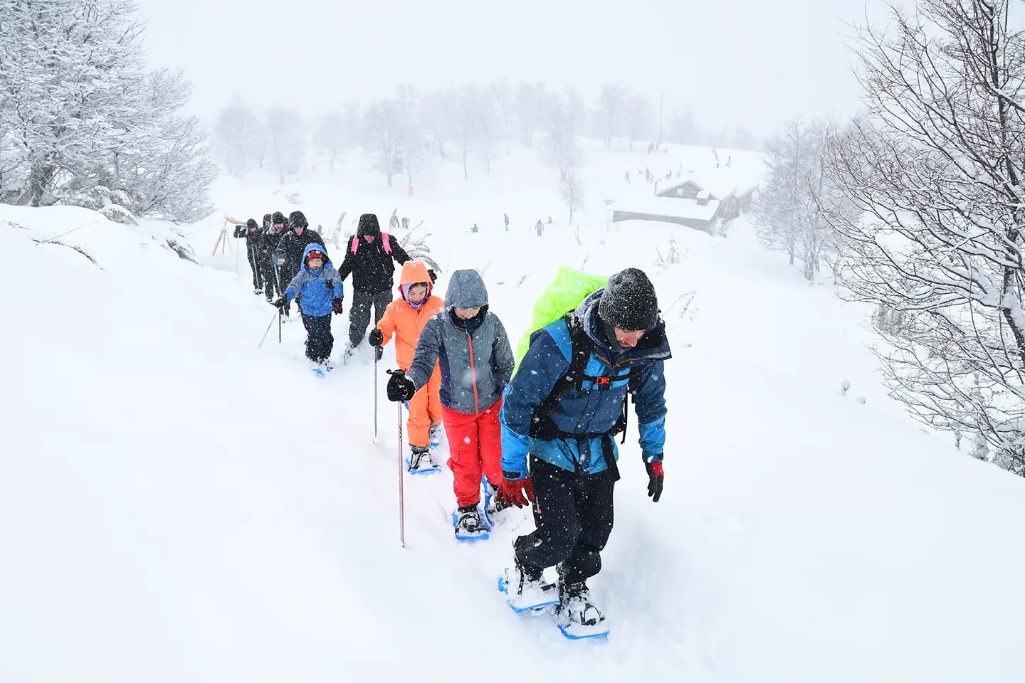 c4-caminata-raquetas