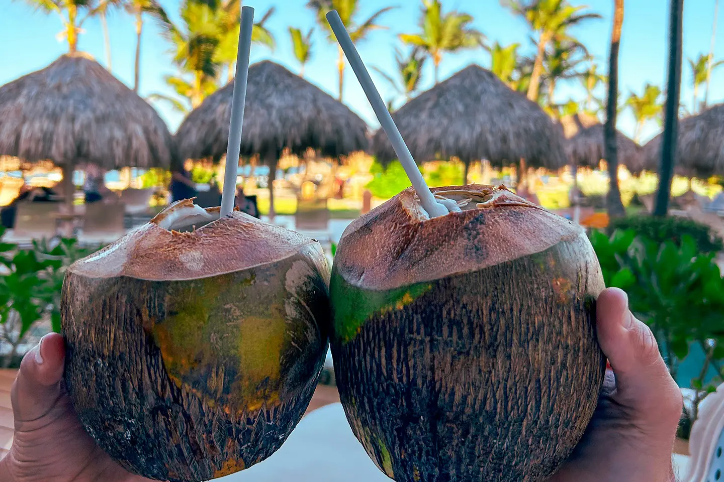 punta-cana-cocos