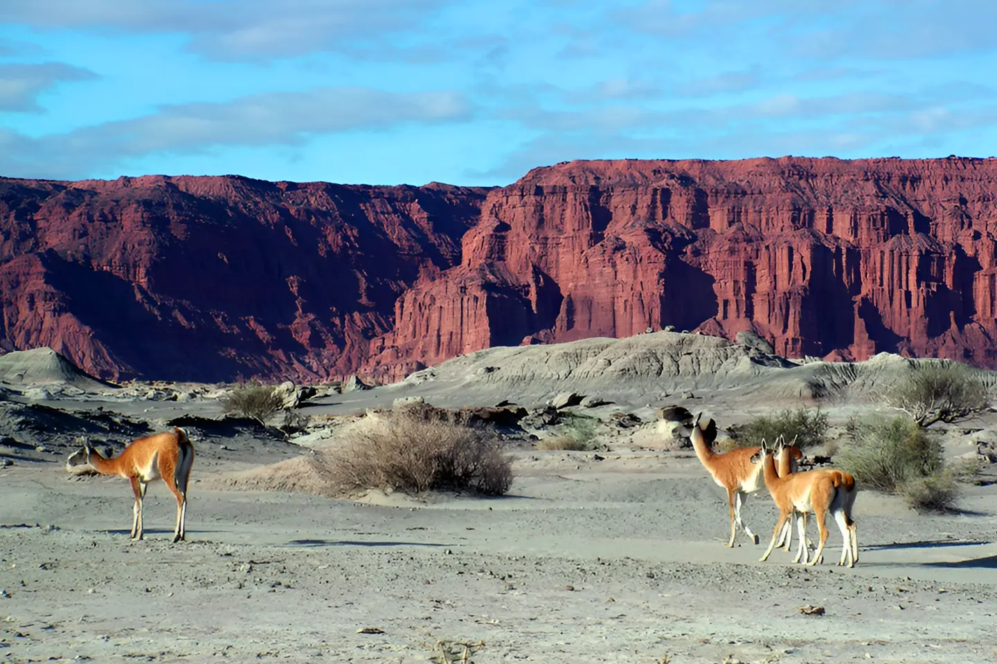 ischigualasto-3