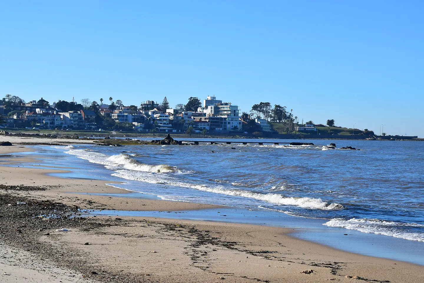 Punta del Este en Bus: Montevideo playa