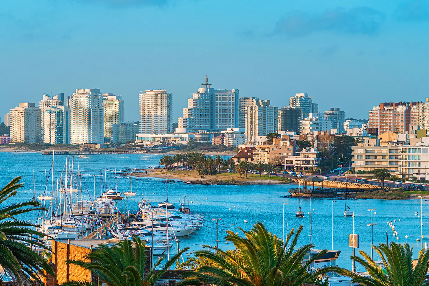 Punta del Este en Bus: Punta del este 1